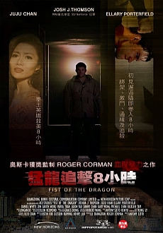 "Fist of the Dragon" (2014) DVDRip.x264.AC3-MiLLENiUM